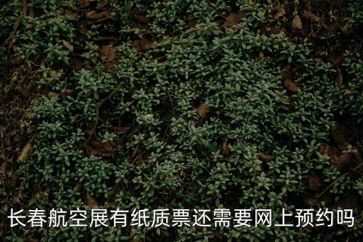長春航空展有紙質票還需要網上預約嗎