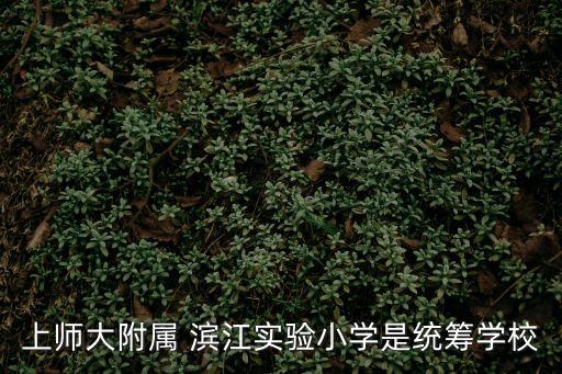 濱江實驗小學,上師大附屬濱江實驗小學是一所統籌學校?