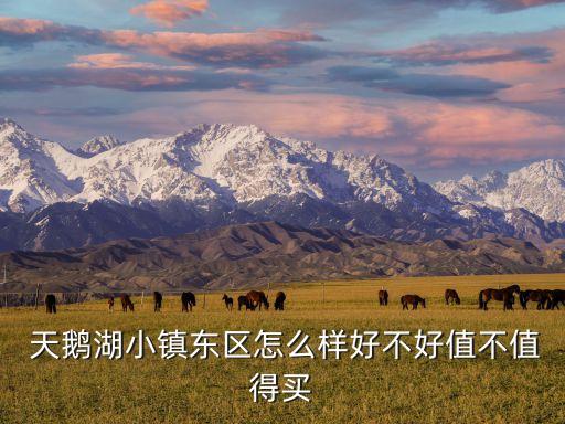  天鵝湖小鎮東區怎么樣好不好值不值得買