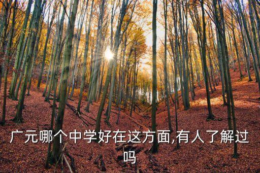 廣元哪個(gè)中學(xué)好在這方面,有人了解過(guò)嗎