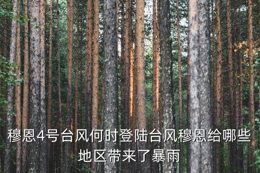 穆恩4號(hào)臺(tái)風(fēng)何時(shí)登陸臺(tái)風(fēng)穆恩給哪些地區(qū)帶來了暴雨