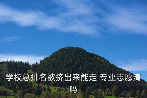 學校總排名被擠出來能走 專業志愿清嗎