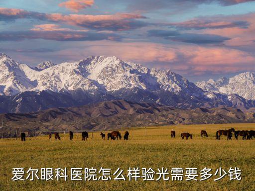 愛爾眼科醫(yī)院怎么樣驗(yàn)光需要多少錢