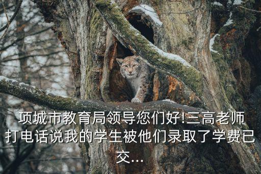 項城市教育局,市教育局電話:項城市實驗小學等多所小學可供選擇