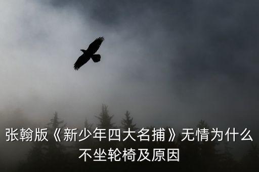 四大名捕張翰,張翰版《少年四大名捕》播出時間與地點