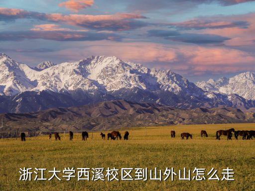 山外山菜館,從浙江大學(xué)紫金港到山外山怎么走?