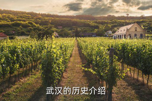 武漢三鎮地圖,武漢有哪三鎮?