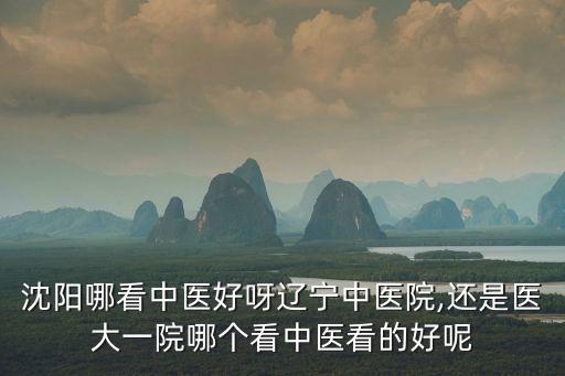 沈陽哪看中醫(yī)好呀遼寧中醫(yī)院,還是醫(yī)大一院哪個(gè)看中醫(yī)看的好呢