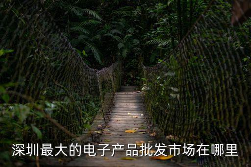 深圳最大的電子產(chǎn)品批發(fā)市場在哪里