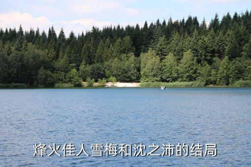 黎雪梅,黎紹峰為什么陷雪梅為行刺沈之沛真兇
