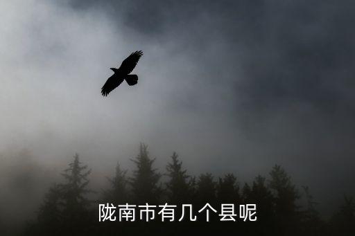 康縣屬于哪個市,甘肅省隴南市有8個縣