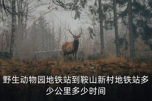 鞍山地鐵,從鞍山新村到國(guó)際客運(yùn)中心地鐵站路線