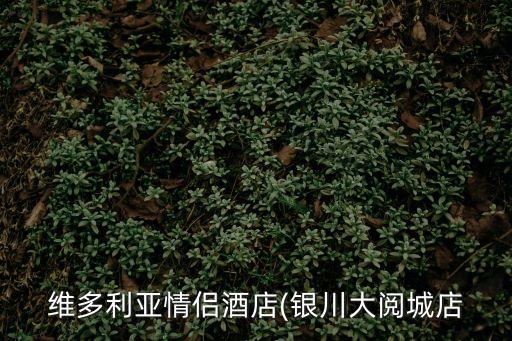 繁花酒吧,南寧酒吧排名出爐蘇格繆斯、88club、繁花酒吧