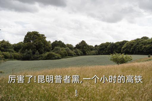 厲害了!昆明普者黑,一個(gè)小時(shí)的高鐵!