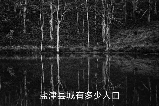 鹽津縣城有多少人口