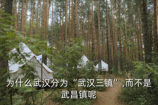 為什么武漢分為“武漢三鎮”,而不是武昌鎮呢