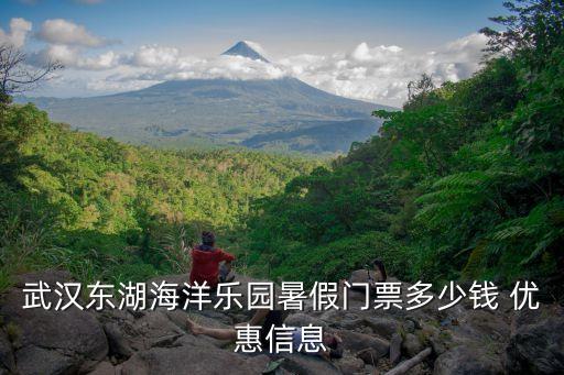 暑假樂(lè)園,香港迪士尼暑假期間不算普通日