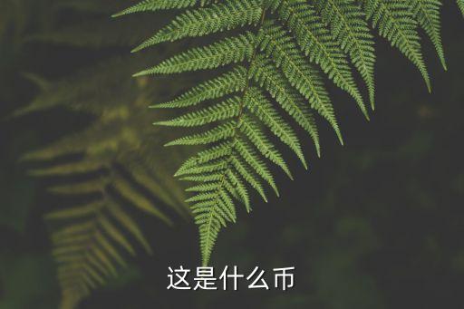 柬埔寨用什么貨幣,柬埔寨用什么貨幣?