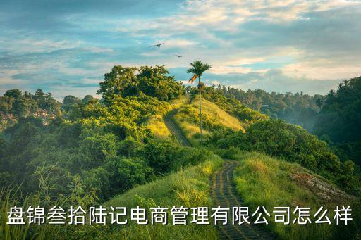 盤錦人力,盤錦壹拾陸記電商管理有限公司怎么樣?