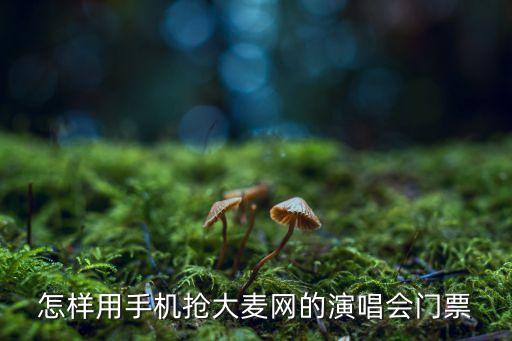 怎樣用手機搶大麥網的演唱會門票