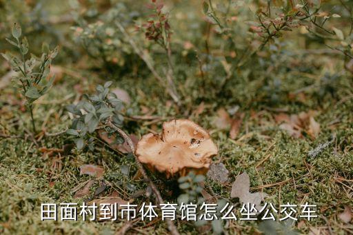 田面村,從田面村怎么坐公交?