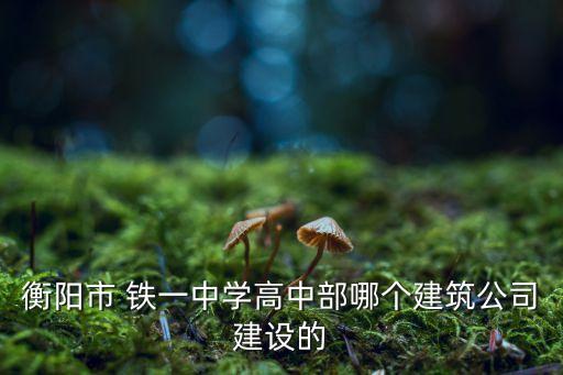 衡陽市 鐵一中學高中部哪個建筑公司建設的