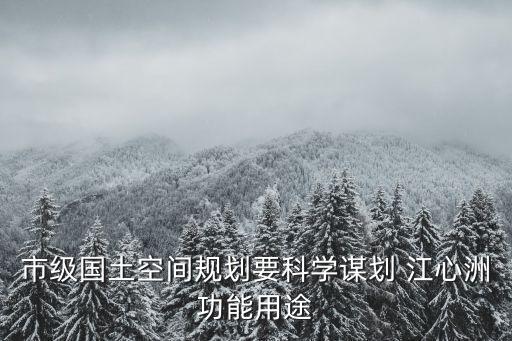 市級國土空間規劃要科學謀劃 江心洲功能用途