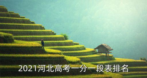河北省一分一檔,河北高考分數一分一檔名單出爐!
