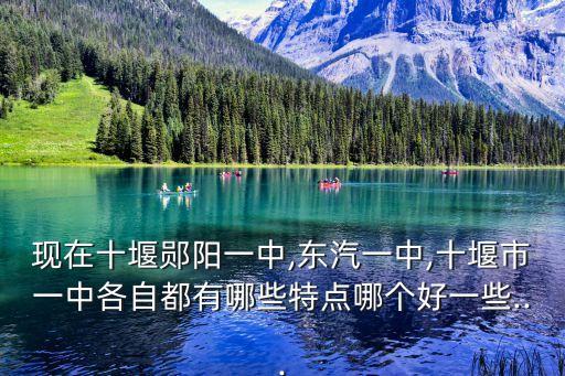 現(xiàn)在十堰鄖陽一中,東汽一中,十堰市一中各自都有哪些特點(diǎn)哪個(gè)好一些...