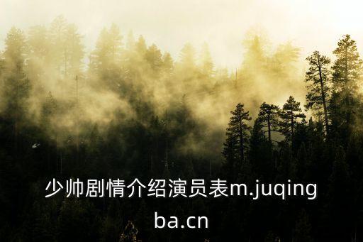 少帥劇情介紹演員表m.juqingba.cn