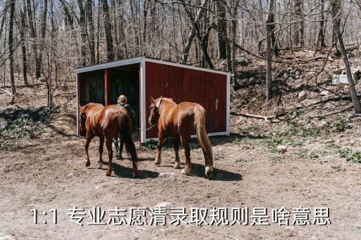 1:1 專業志愿清錄取規則是啥意思