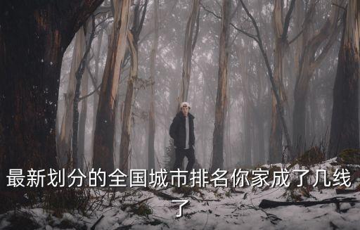 自貢市是幾線城市,達州是幾線城市?660個城市一級城市有哪些?