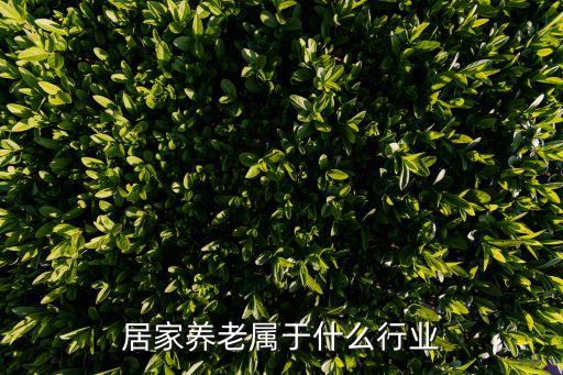 居家養老屬于什么行業