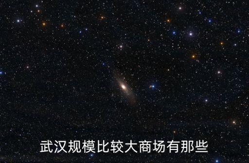 魯巷廣場(chǎng)購(gòu)物中心,中百集團(tuán)下的中百倉(cāng)儲(chǔ)和中百超市，易初蓮花百貨
