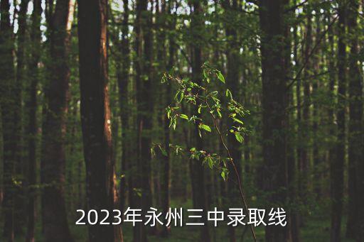 2023年永州三中錄取線