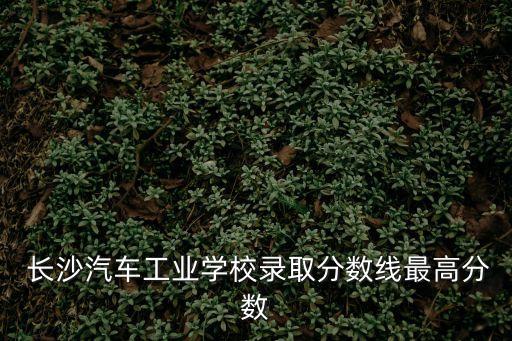  長沙汽車工業學校錄取分數線最高分數