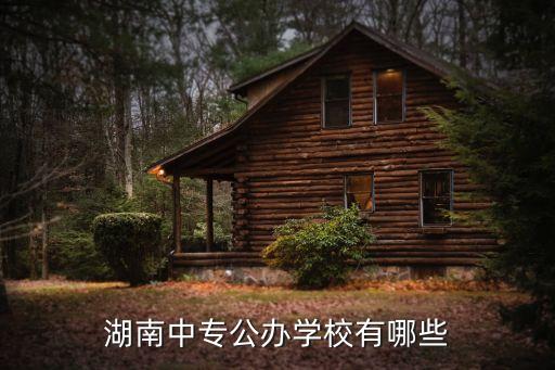 長沙汽車工業學校,長沙汽車工業學校和湖南有色金屬中專哪個好?