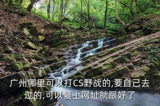 廣州哪里可以打CS野戰的,要自己去過的,可以復上網址就跟好了