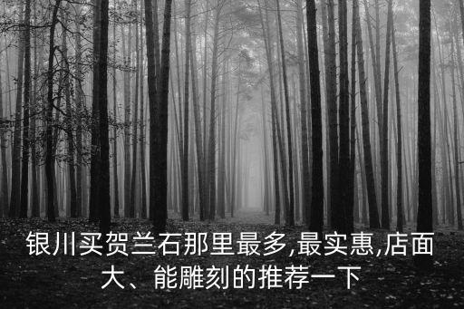 銀川買賀蘭石那里最多,最實(shí)惠,店面大、能雕刻的推薦一下