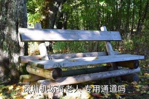 專用通道,地鐵專用通道有何用途?