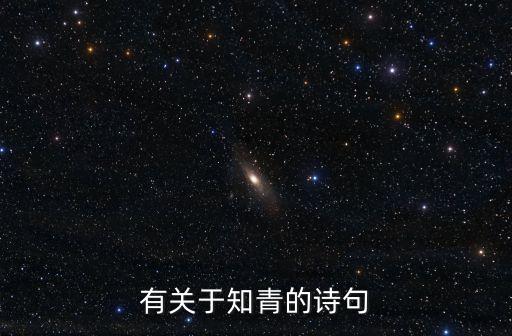 月吟電影,《詩吟》日本電影劇情100100分鐘