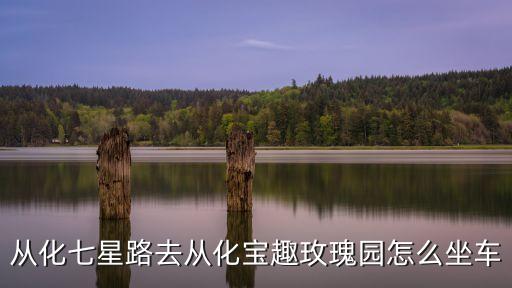 從化七星路去從化寶趣玫瑰園怎么坐車