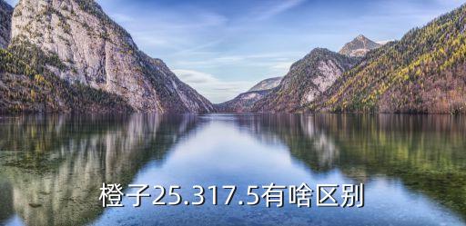 橙子25.317.5有啥區別