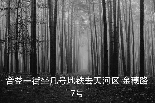 金穗路,從廣州南站到天河區(qū)金穗路7號最晚一班車是幾點?