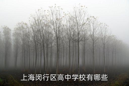 上海閔行區高中學校有哪些