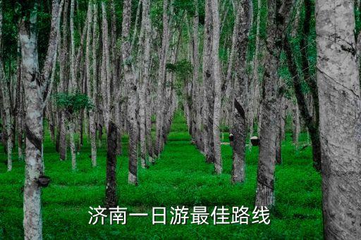 濟南一日游最佳路線
