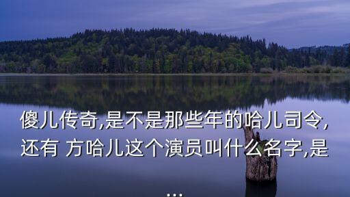 傻兒傳奇,是不是那些年的哈兒司令,還有 方哈兒這個(gè)演員叫什么名字,是...