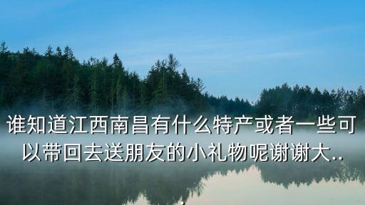 南昌瓷板畫,南昌瓷板畫有何特色?
