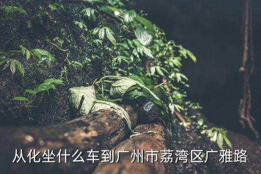 從化坐什么車到廣州市荔灣區廣雅路