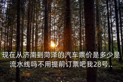 現在從濟南到菏澤的汽車票價是多少是流水線嗎不用提前訂票吧我28號...